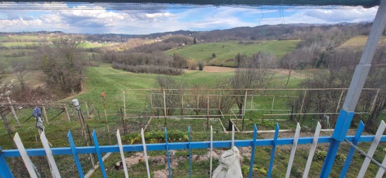 20250313_151120 (Small)