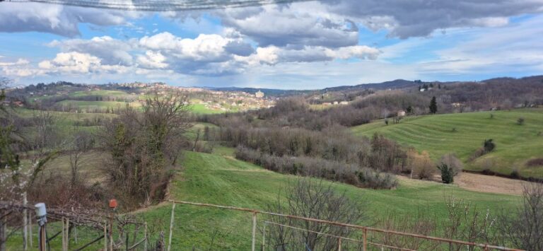 20250313_151446 (Small)