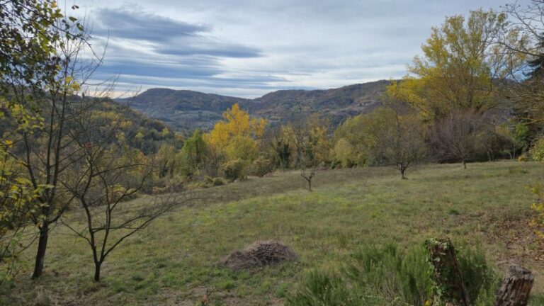 20251027_101605 (Small)