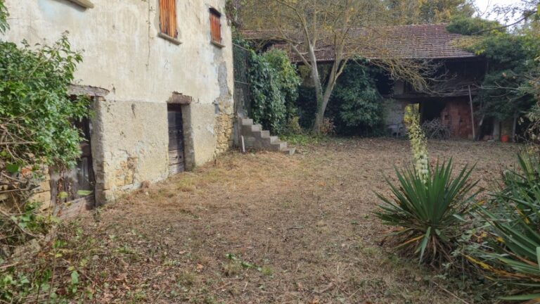 20251027_101612 (Small)