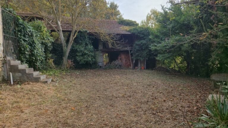 20251027_101617 (Small)