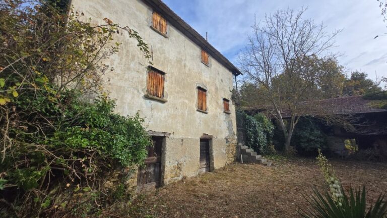 20251027_101628 (Small)