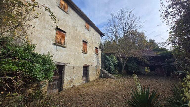 20251027_101629 (Small)