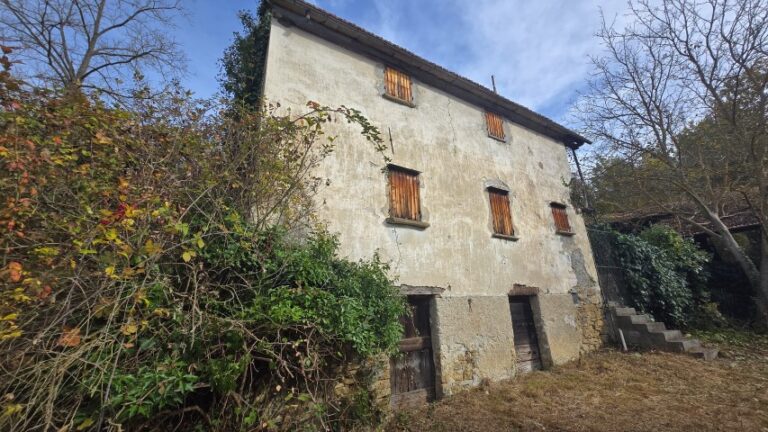 20251027_101632 (Small)