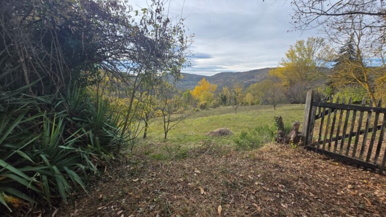 20251027_101639 (Small)