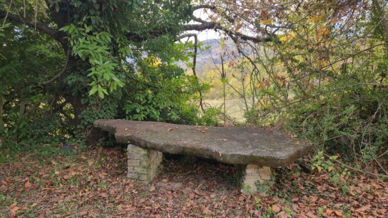 20251027_101656 (Small)