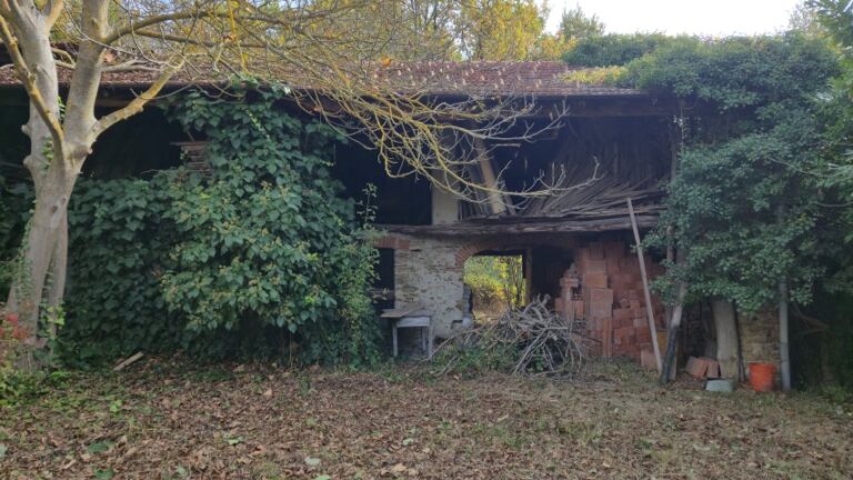 20251027_101701 (Small)