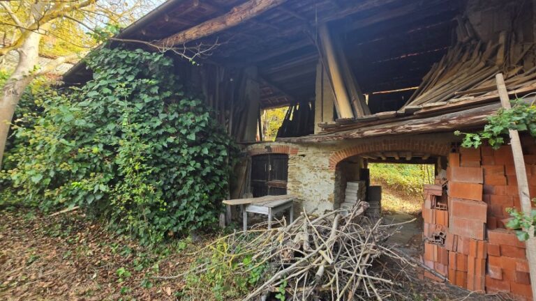 20251027_101715 (Small)