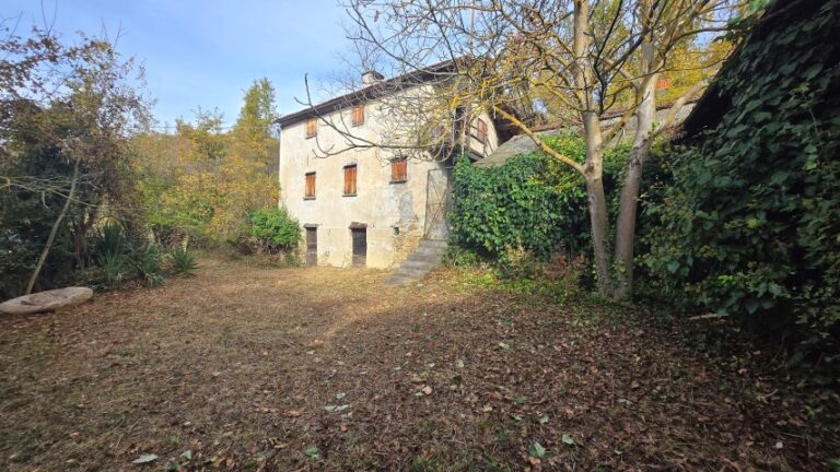 20251027_101718 (Small)