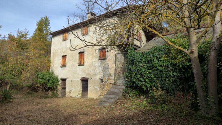 20251027_101723 (Small)