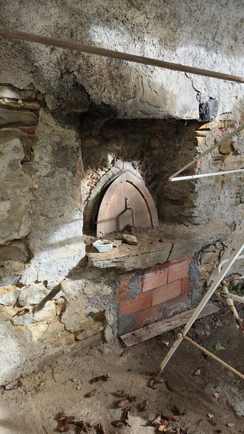 20251027_101810 (Small)