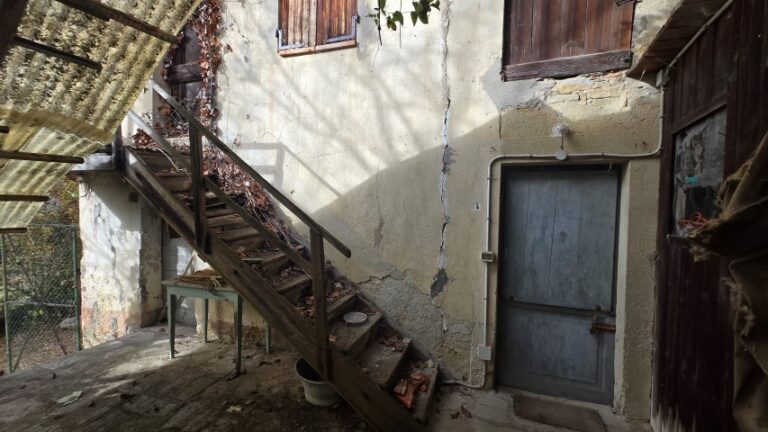 20251027_101819 (Small)