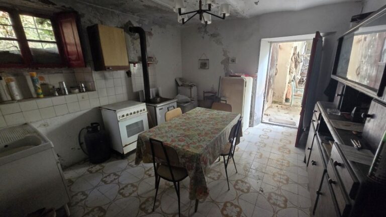 20251027_102252 (Small)