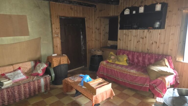 20251027_102429 (Small)