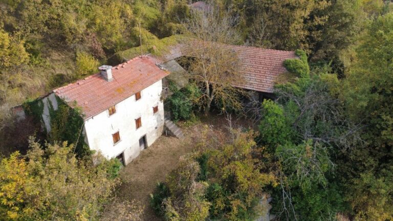 dji_fly_20251027_103716_452_1761557868633_photo_optimized (Small)