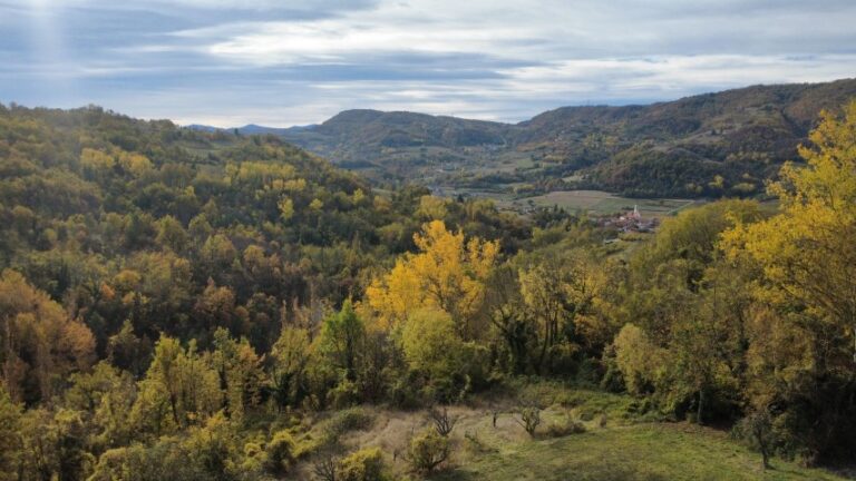 dji_fly_20251027_103728_454_1761557874686_photo_optimized (Small)