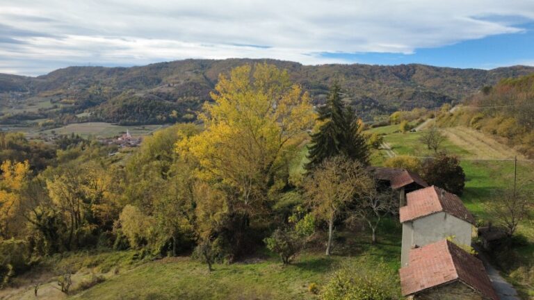 dji_fly_20251027_103740_456_1761557907946_photo_optimized (Small)