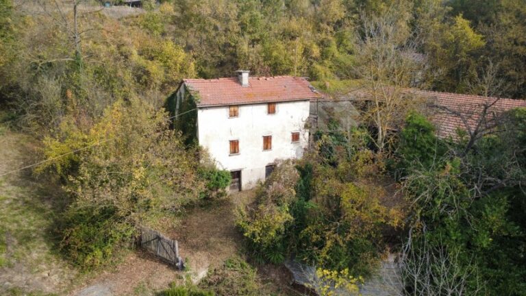 dji_fly_20251027_103814_458_1761557928873_photo_optimized (Small)