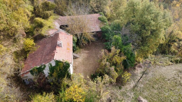 dji_fly_20251027_103846_460_1761558115880_photo_optimized (Small)