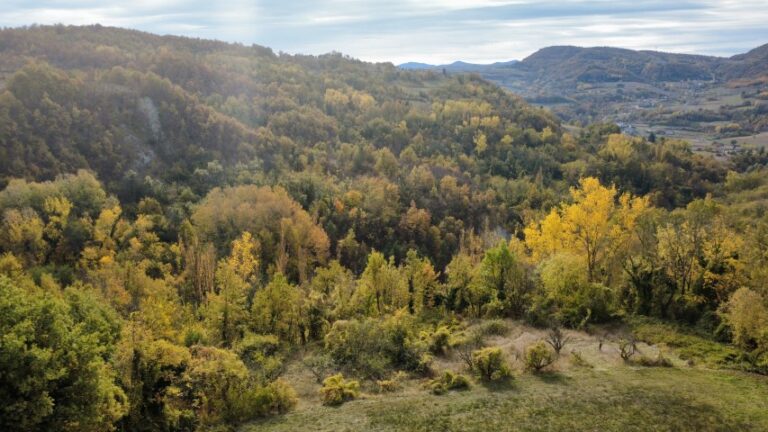 dji_fly_20251027_103852_461_1761558264848_photo_optimized (Small)