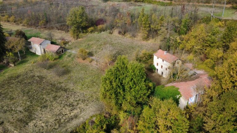 dji_fly_20251027_104104_464_1761558274328_photo_optimized (Small)