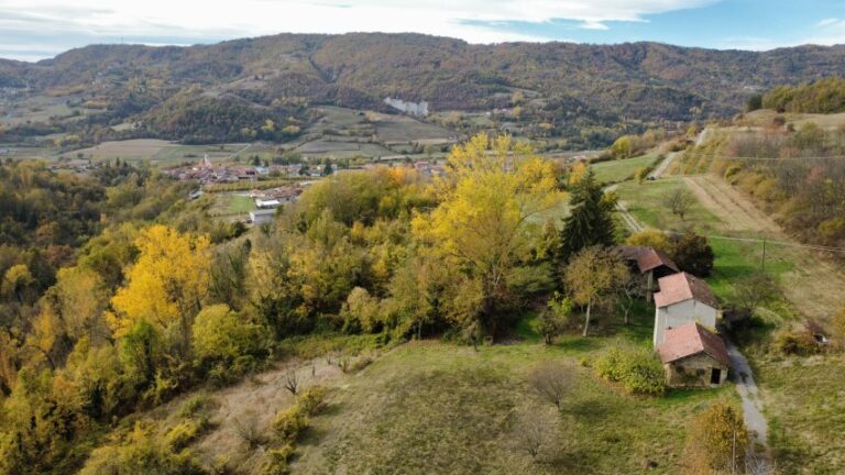 dji_fly_20251027_104132_465_1761558280331_photo_optimized (Small)