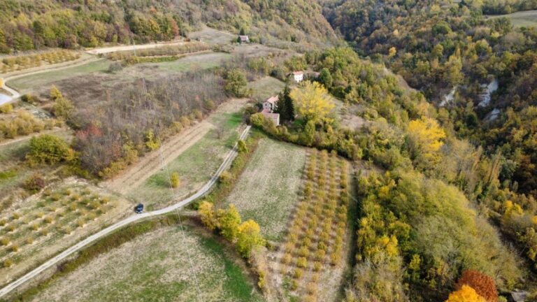 dji_fly_20251027_104438_469_1761558354925_photo_optimized (Small)