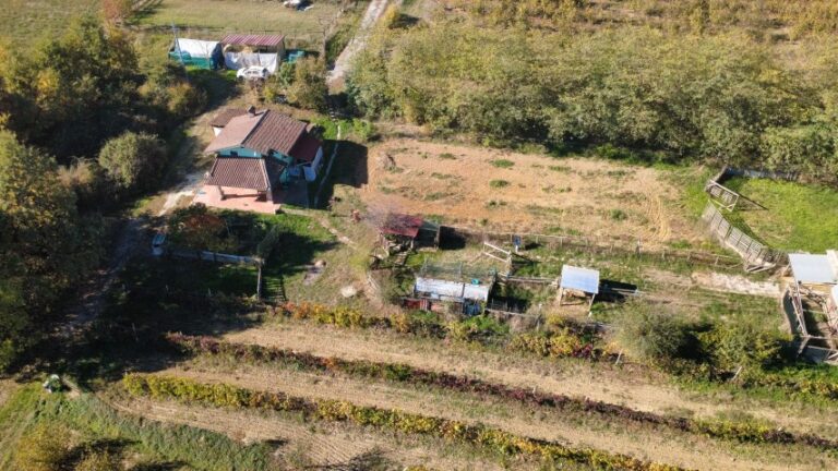 dji_fly_20251028_103244_476_1761644181776_photo_optimized