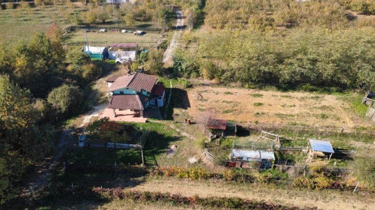 dji_fly_20251028_103558_483_1761644980416_photo_optimized