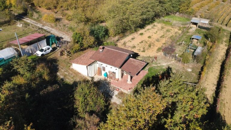 dji_fly_20251028_103928_487_1761645003441_photo_optimized