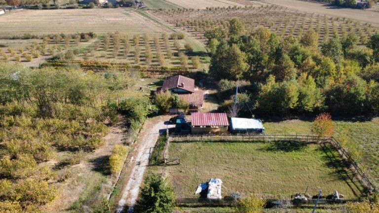 dji_fly_20251028_104004_492_1761645018842_photo_optimized