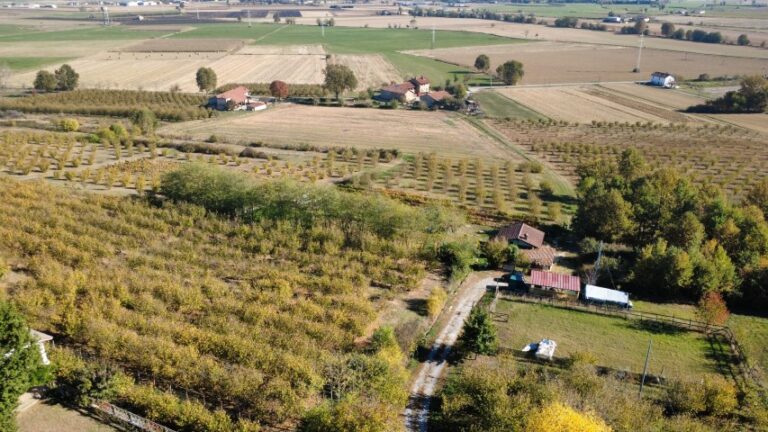 dji_fly_20251028_104416_497_1761645025689_photo_optimized