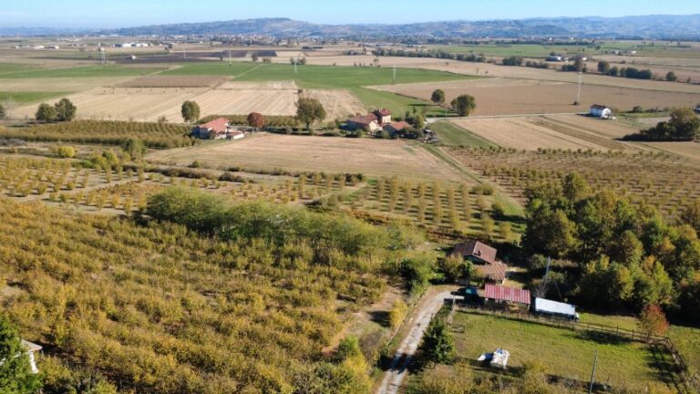 dji_fly_20251028_104420_498_1761645027456_photo_optimized