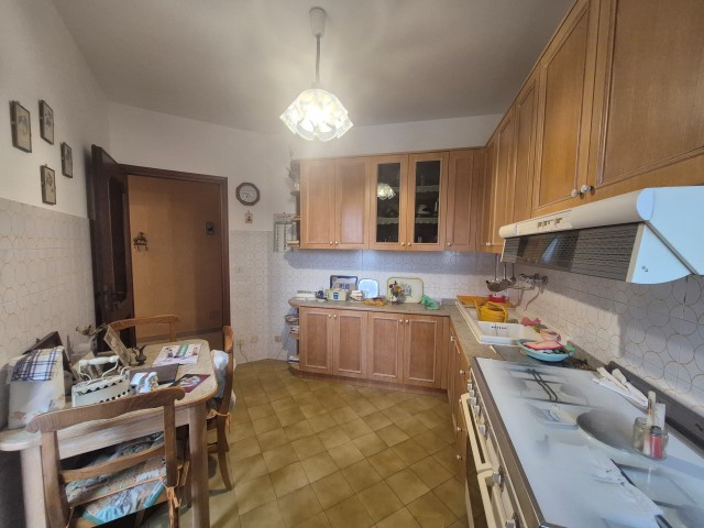 20251119_150313 (Small)