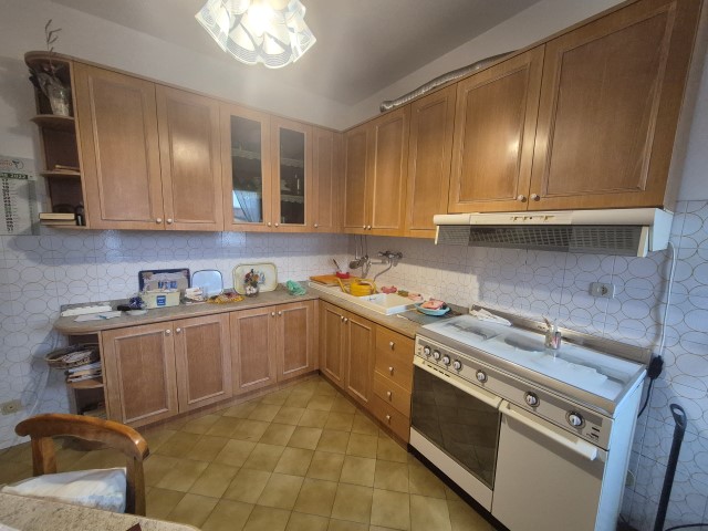 20251119_150328 (Small)