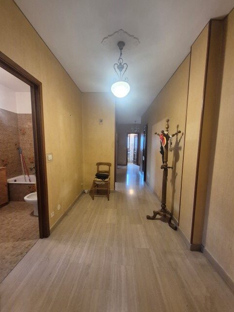 20251119_150410 (Small)