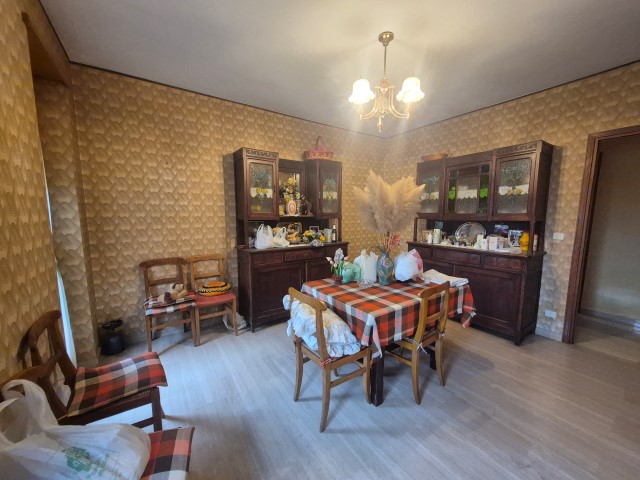 20251119_150559 (Small)