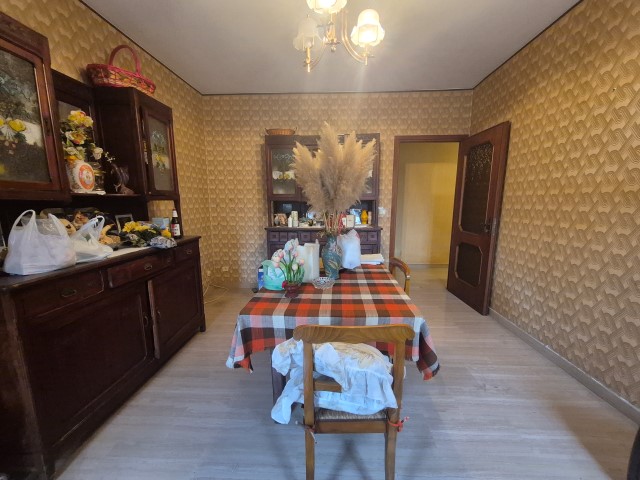 20251119_150625 (Small)