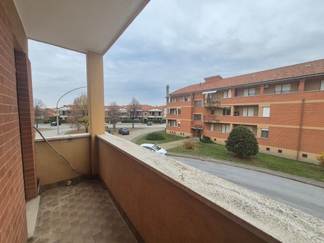 20251119_151151 (Small)