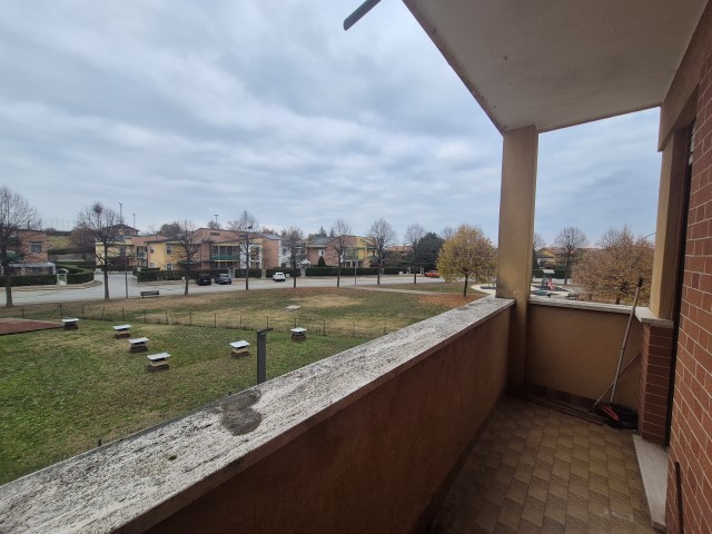 20251119_151432 (Small)