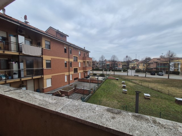 20251119_151442 (Small)