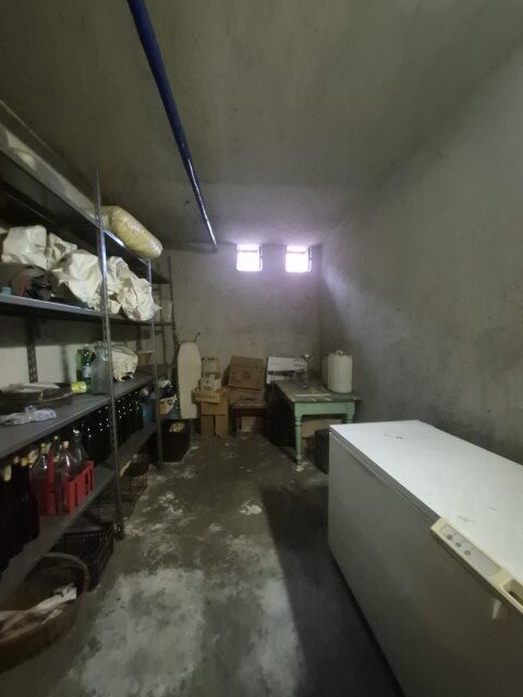 20251119_151857 (Small)