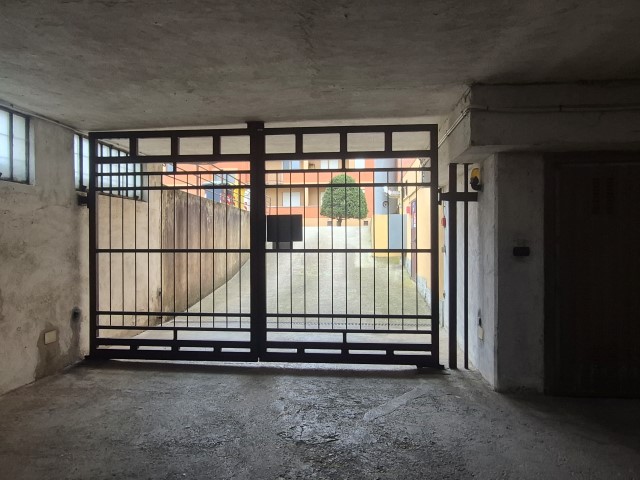 20251119_152005 (Small)