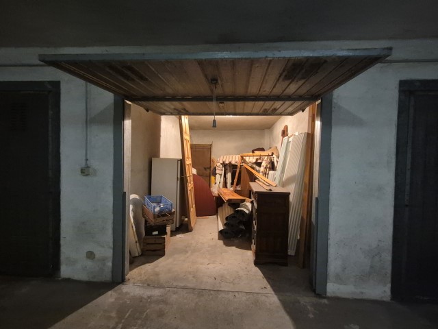 20251119_152025 (Small)