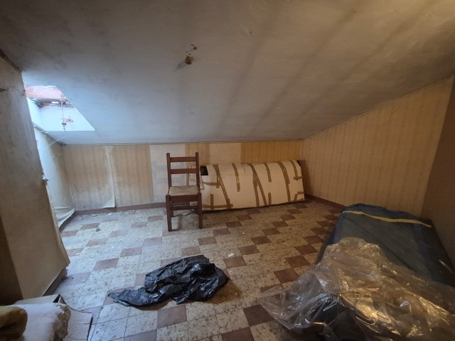 20251119_152249 (Small)