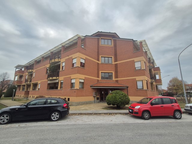 20251119_152957 (Small)