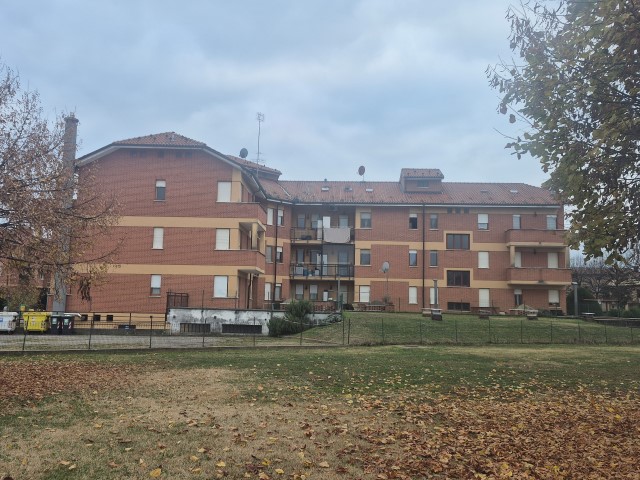 20251119_153142 (Small)