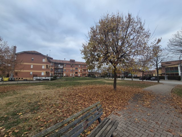 20251119_153153 (Small)