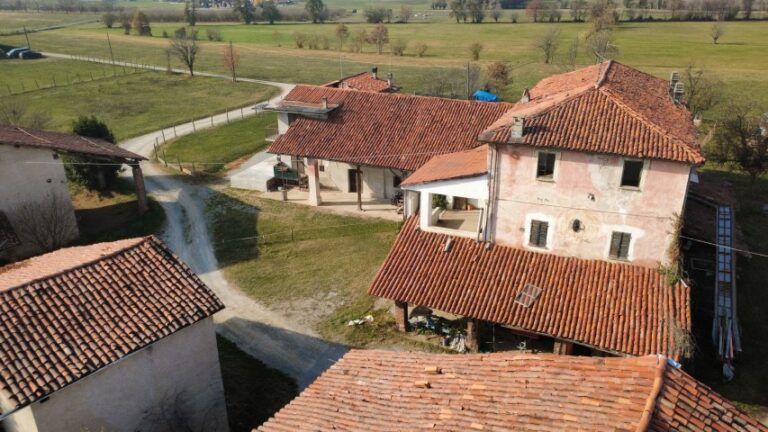 dji_fly_20251113_114516_532_1763030775487_photo_optimized (Small)