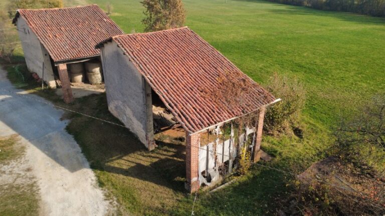 dji_fly_20251113_115424_554_1763031285897_photo_optimized (Small)